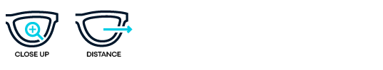 DT Focus SV Icon